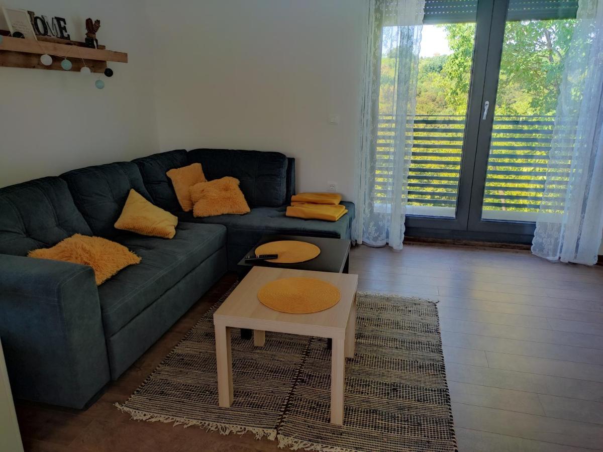 Kraljeva Hiza - Apartmani I Sobe Kralj Sveti Martin Na Muri Exteriér fotografie