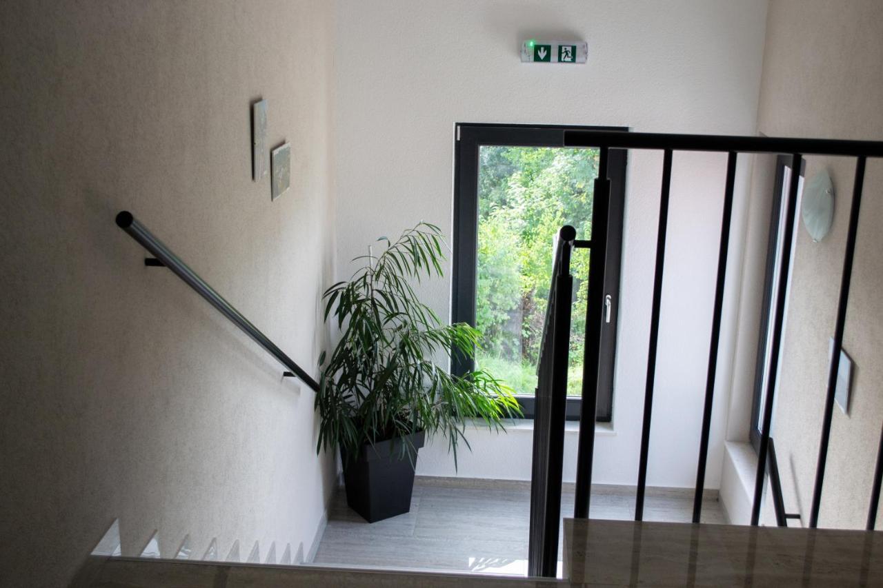 Kraljeva Hiza - Apartmani I Sobe Kralj Sveti Martin Na Muri Exteriér fotografie