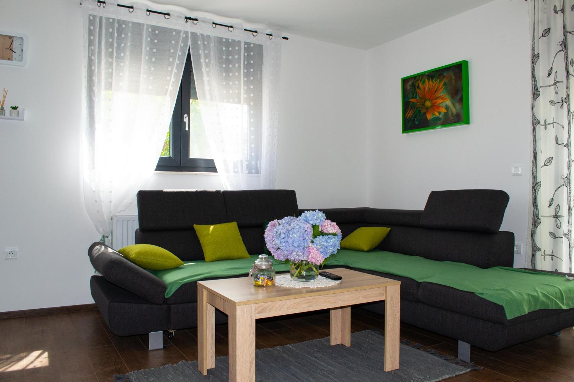 Kraljeva Hiza - Apartmani I Sobe Kralj Sveti Martin Na Muri Exteriér fotografie