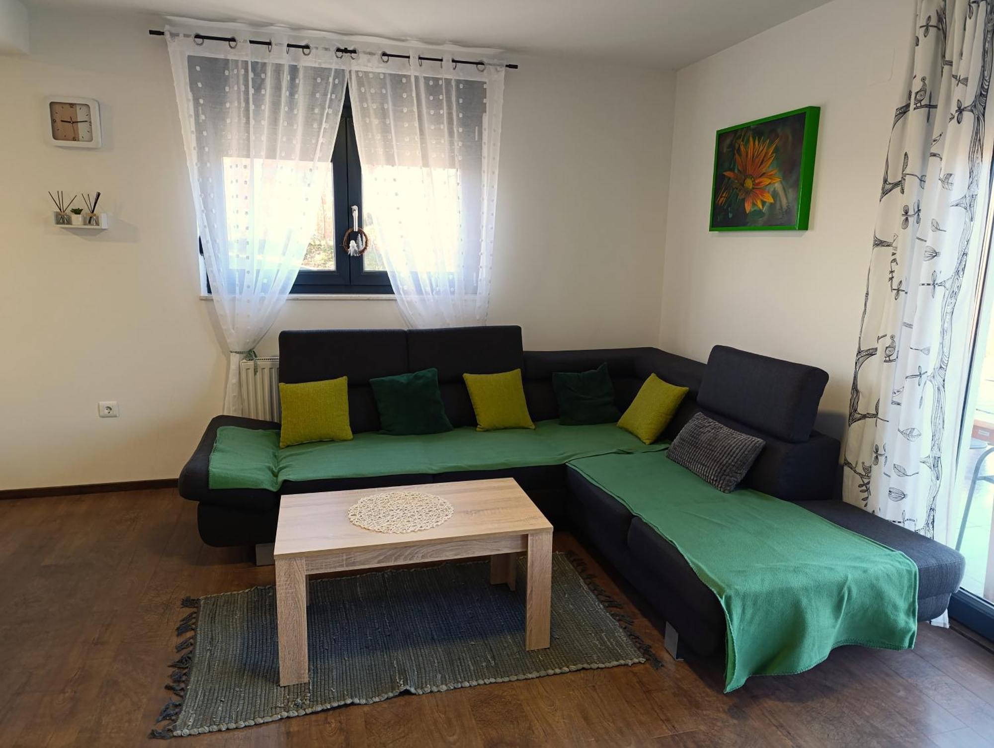 Kraljeva Hiza - Apartmani I Sobe Kralj Sveti Martin Na Muri Exteriér fotografie